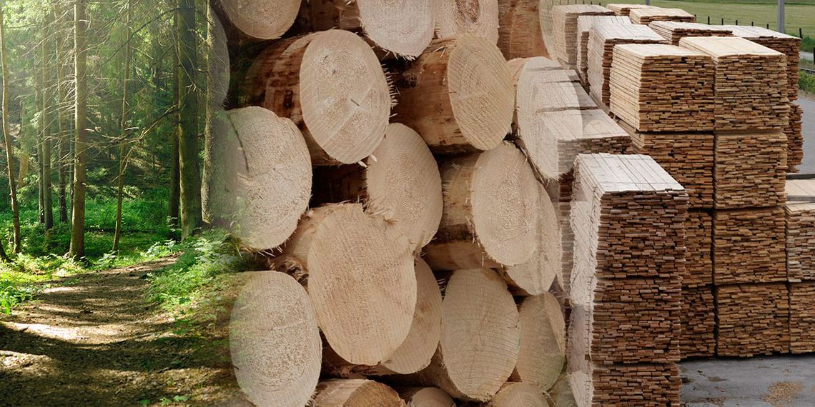 Wald, Rundholz, Schnittholz